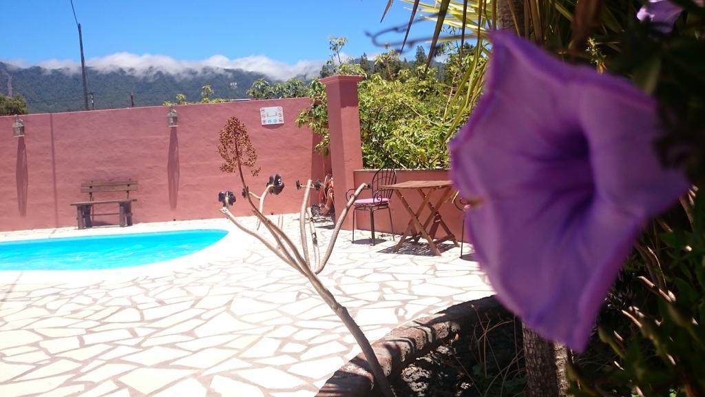 Casitas La Montanita Vendégház El Paso Kültér fotó