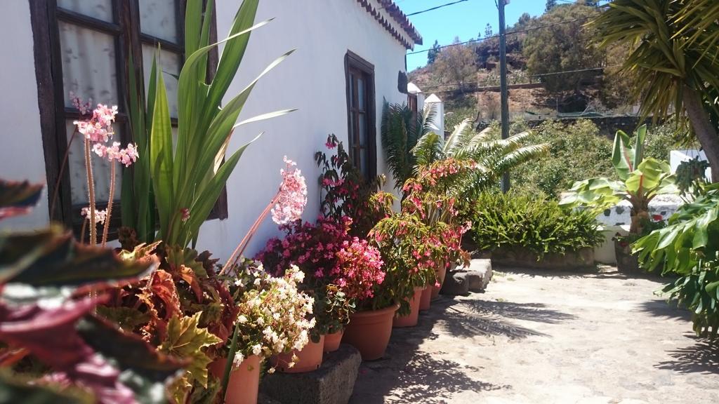 Casitas La Montanita Vendégház El Paso Kültér fotó