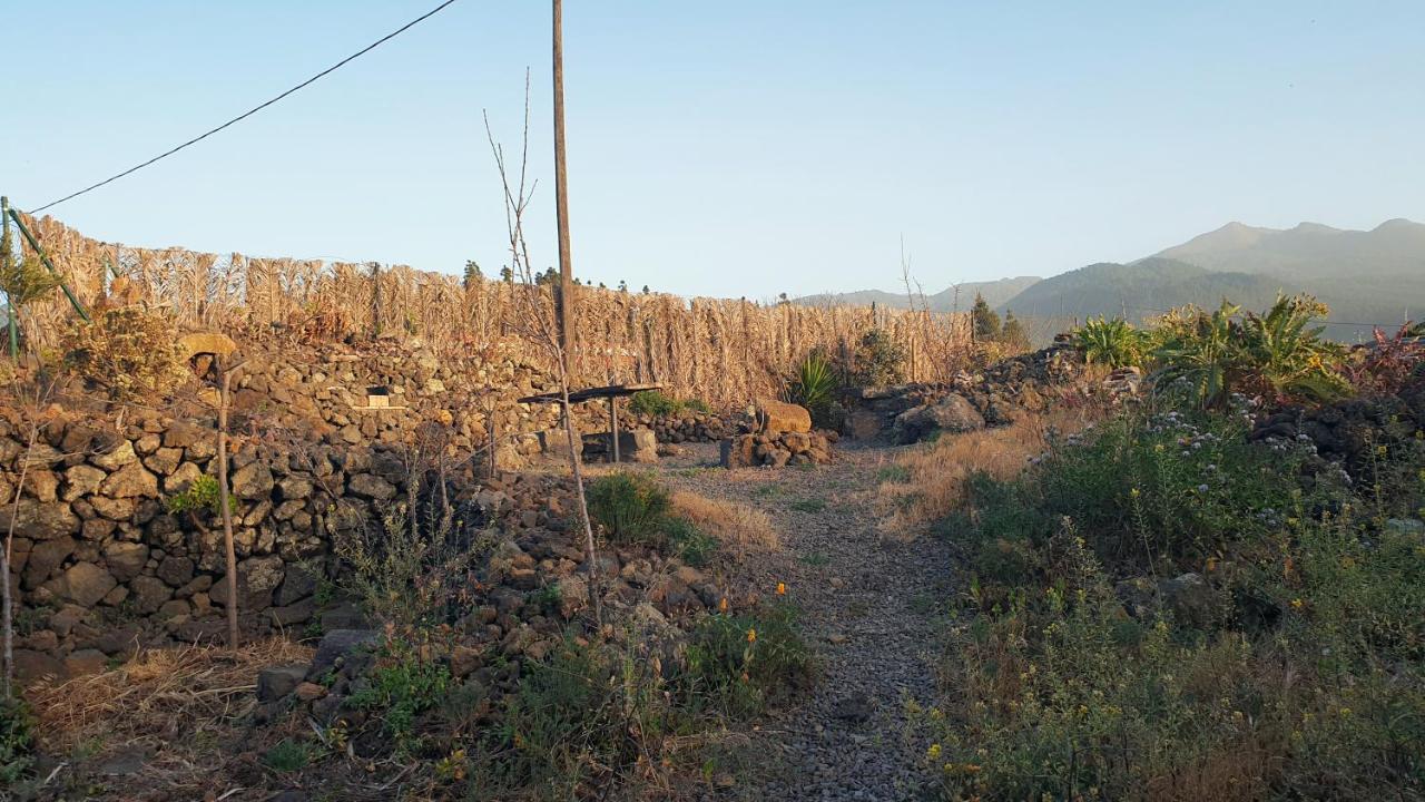 Casitas La Montanita Vendégház El Paso Kültér fotó